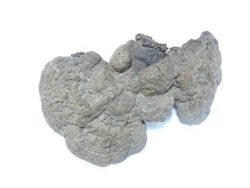 �V�R ��� ����� ���N�� 150g�E�����I