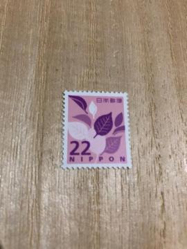 �y�|�C���g�����Ɂz22�~�؎�@�P��