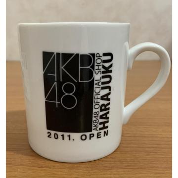 �y���������zAKB48 �I�t�B�V�����V���b�v �}�O�J�b�v �u���b�N 1�� ��������