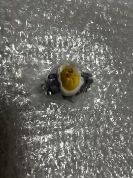 �X�L�Y�@�t�B���b�N�X�@�`���[��