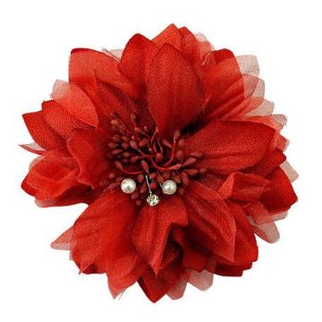 ���b�V���t �p�[�������C���X�g�[�� �R�T�[�W�� ���b�h���V�i