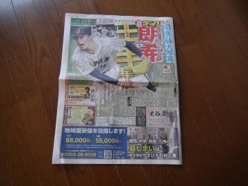 ߘa5N312jWp fB[X|[cV Vigp !B