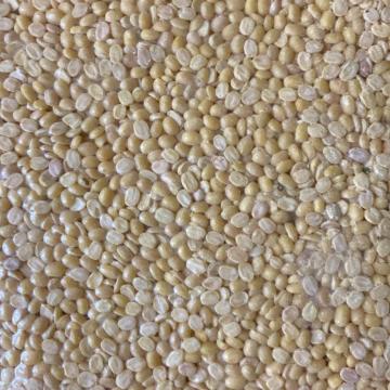 �����O���@�Γ��@�疳���@3kg