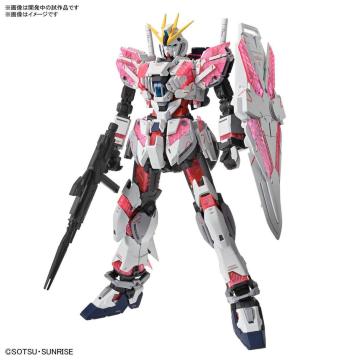 MG 1/100 ieBuK_ C Ver.Ka