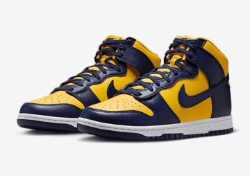 NIKE DUNK HIGH g SE