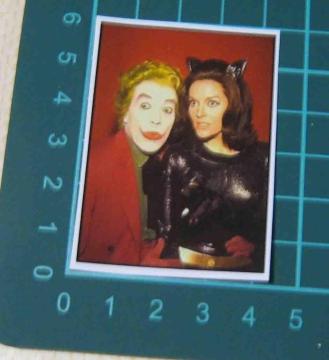 TV�@�o�b�g�}���@�L���b�g�E�[�}�����W���[�J�[�@�X�e�b�J�[