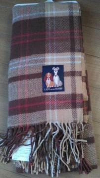 ���]�[�g�g�����v&���f�B�}�t���[