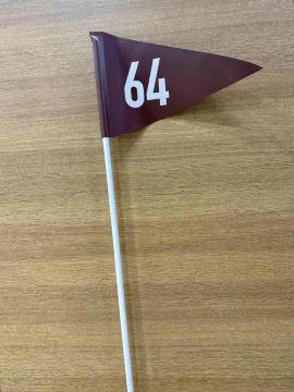 ���ዾ�̃S�[�J�[�g�̊��i�����j