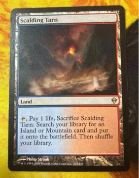 MTG �������鏬��