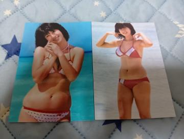 �͍��ޕێq�ʐ^�Z�b�g