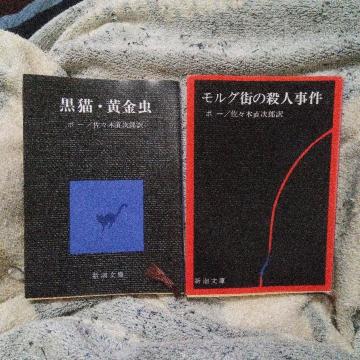 ���L�E�������^�����O�X�̎E�l����  �G�h�K�[�E�A�����E�|�[