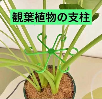 �ϗt�A���x���@�����X�e���@�΁@4�T�C�Y