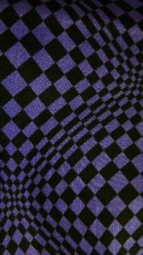 ���V�i���o���_�i���􉽊w����black/purple��