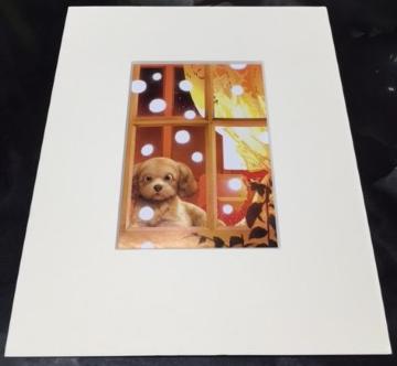 ������ [���ۂ̃v�[�h��] �z�t���C���X�g�|�X�^�[���V�i