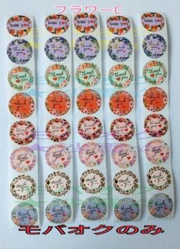 �T���L���[�V�[���D �t�����[C  8��5�V�[�g �v40�� ���� ���b�s���O �|�C���g�����Ȃǂ�