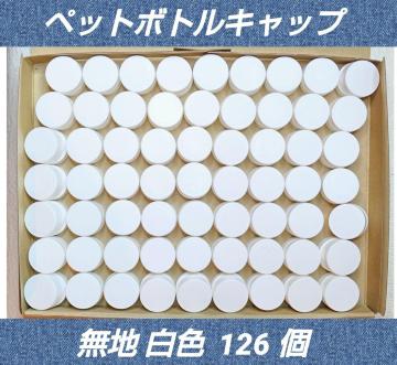 nF126ybg{gLbvnhChfށۈ牀ctwۈ灚Nuő600L聚