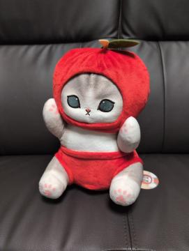 tTh@؃}VF(t[c)BIGʂ݁A