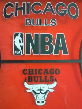 ض ޽ް NBA  ٽ  ߰ BAG ޯ گ