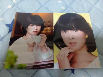 �͍��ޕێq�ʐ^�Z�b�g