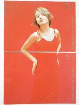 ●中澤裕子●モーニング娘。★コレクションカード/トレーディングカード【2枚セット】