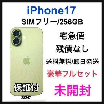 J iPhone 17 256 GB SIMt[ O[ {