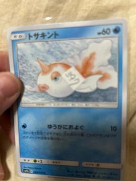 �g�T�L���g