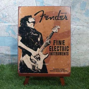 ViyuLŔzFender^tF_[@Fine