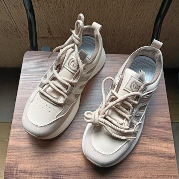 Vi 24cm fB[X Xj[J[ uE V[Y C  gAbv