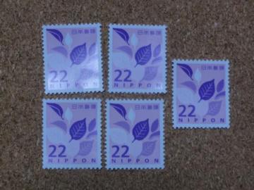 22�~�؎� 5�� ���ʐ؎�