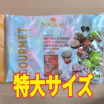 ���ʉ��i�� �`���R���[�g�A�\�[�g 500g