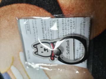 \tgoN}`O񔄕i