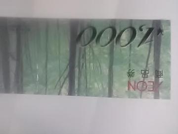 CI1000~