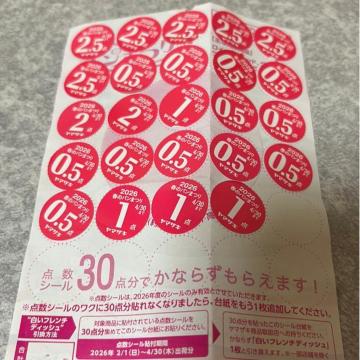 ���}�U�L�͂�̃p���Ղ�2026