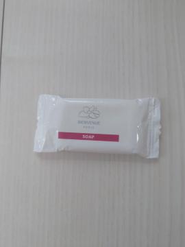 �|�C���g������ ����110�~ �X�y�C���Y �Ό� 12g