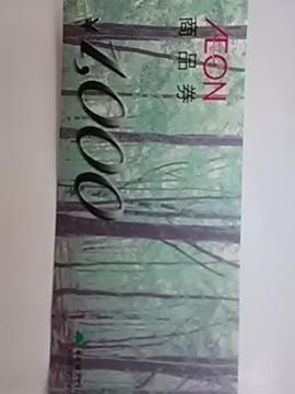 CI1000~iVi