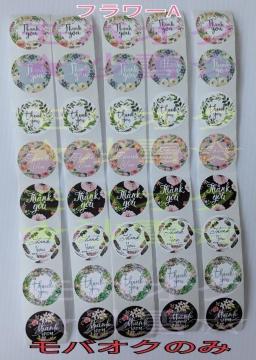 �T���L���[�V�[���B �t�����[A 8��5�V�[�g �v40�� ���� ���b�s���O �|�C���g�����Ȃǂ�