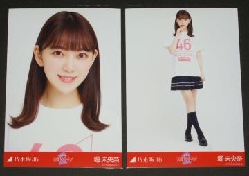 �T�؍�46�@�x�����ށ@���ʐ^�Q���Z�b�g�@�Q�������C�u