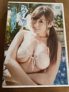 썲aq  TfB[J[    DVD