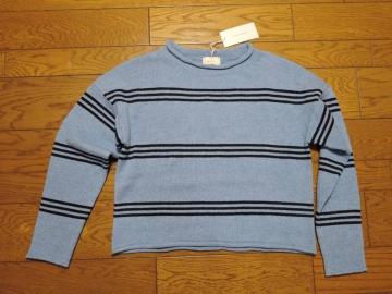 新品インパクティスケリーInpaichthys kerriボーダーニットS