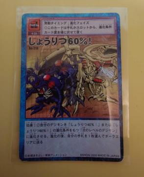 fW^X^[J[hQ[ 傤60%I Bo-210 1082