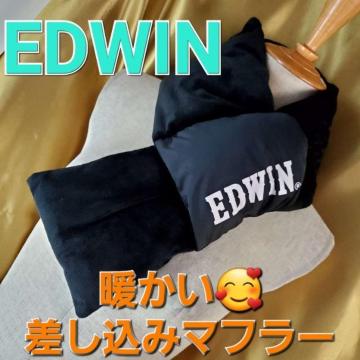 ���݁�EDWIN/�G�h�E�B�����g���������݃}�t���[������