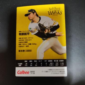 �L���q���@�T�C���J�[�h