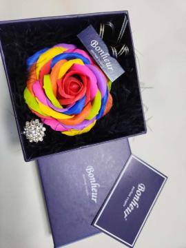 Bonheur�i�{�k�[���j���C���{�[���[�Y �\�[�v�t�����[ �M�t�g�{�b�N�X����