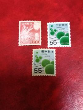 �������������A������؎聖���g�p�i