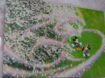 ディズニー ミッキー&ミニー ☆ ポストカード 桜柄 A横長 A