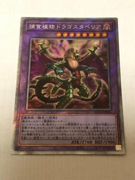 VY ߐHAhSX^yA RC04-JP028 GNXgV[NbgA