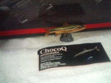 Q@@ òٽ7@@@@@@@@ ޲