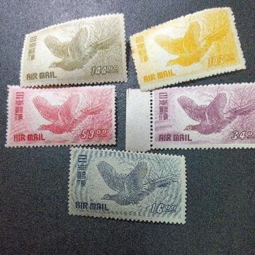 �L�W�q��5��5���Z�b�g