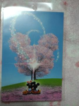 ディズニー ミッキー&ミニー ☆ ポストカード 桜  B柄 A
