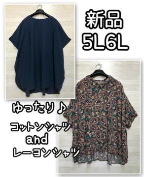 �V�i��5L��6L��������R�b�g���g�b�v�X���e�����Ƃ������V���c��Q674